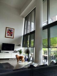 Leedon Residence (D10), Condominium #549195141